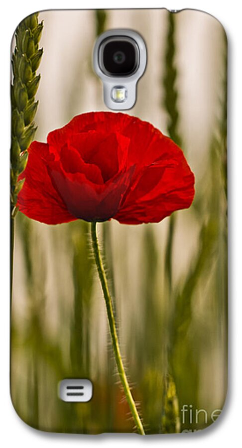 Poppy Galaxy S4 Case featuring the photograph Sunset glow. by Clare Bambers