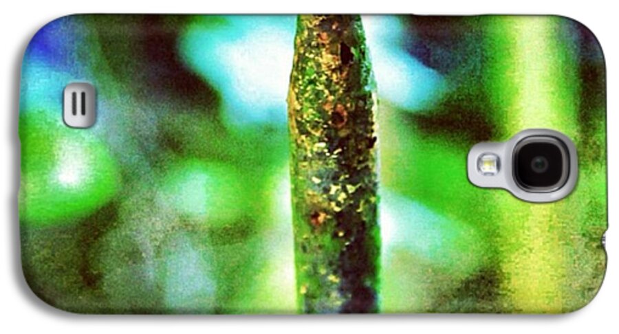 Fence Galaxy S4 Case featuring the photograph #texture #detail #colour #color #green by Ritchie Garrod