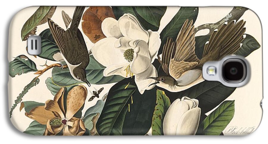 Audubon Galaxy S4 Case featuring the drawing Black-Billed Cuckoo #1 by Dreyer Wildlife Print Collections 