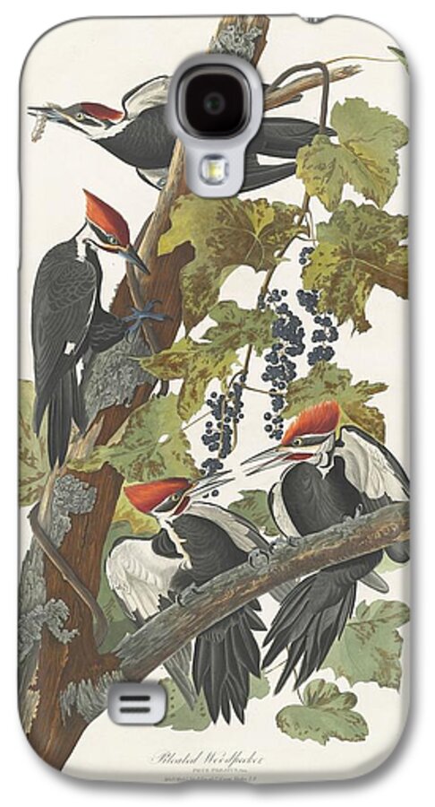 Audubon Galaxy S4 Case featuring the drawing Pileated Woodpecker #1 by Dreyer Wildlife Print Collections 