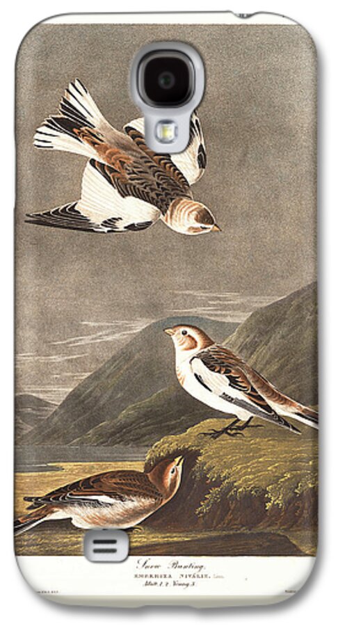 Audubon Galaxy S4 Case featuring the drawing Snow Bunting #2 by Dreyer Wildlife Print Collections 