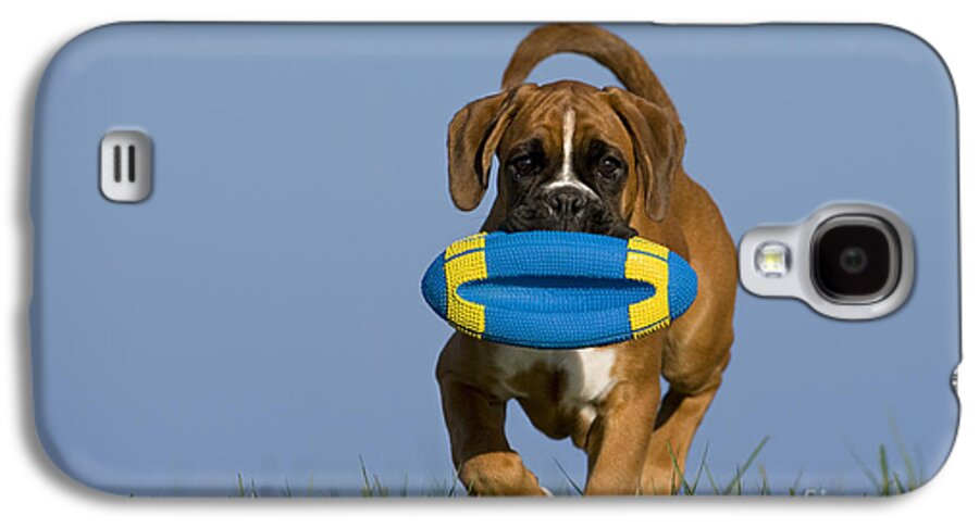 Boxer Galaxy S4 Case featuring the photograph Boxer Puppy #12 by Jean-Louis Klein & Marie-Luce Hubert