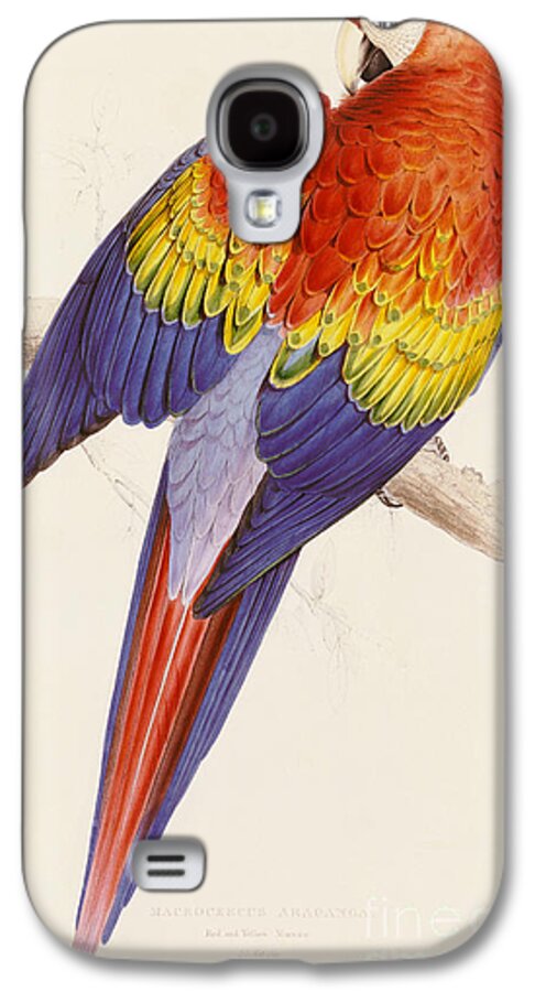 Macaw Galaxy S4 Case featuring the drawing Red and Yellow Macaw by Edward Lear