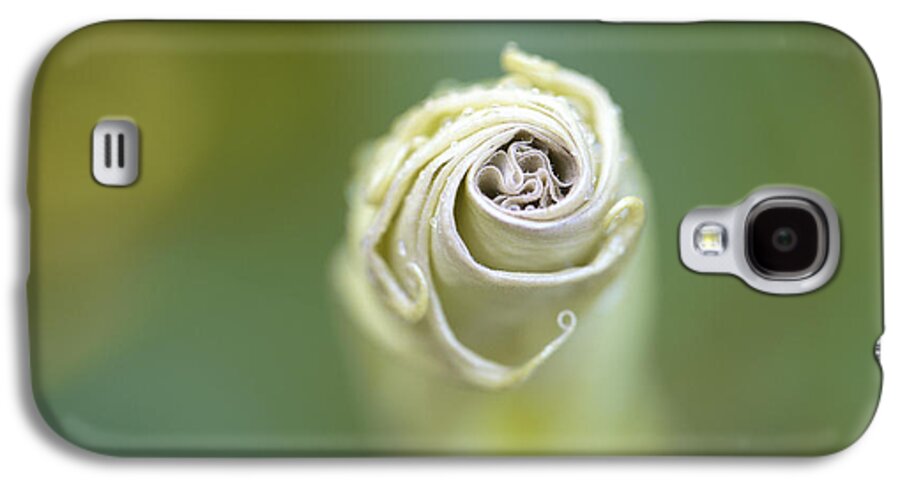 Flower Galaxy S4 Case featuring the photograph Spiral #2 by Nailia Schwarz