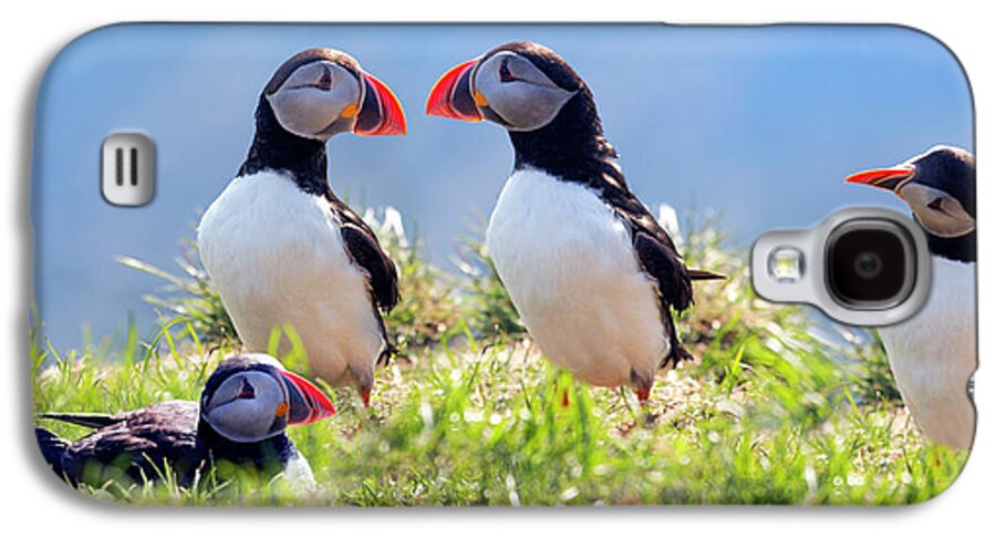 Puffin Galaxy S4 Case featuring the photograph A World of Puffins by Betsy Knapp