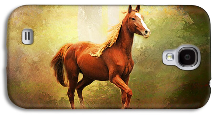 Animal Galaxy S4 Case featuring the photograph Arabian Horse by Jai Johnson
