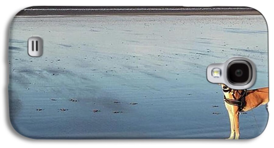 Dogsofinstagram Galaxy S4 Case featuring the photograph Ava's Last Walk On Brancaster Beach by John Edwards