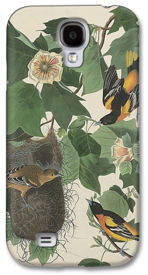 Audubon Galaxy S4 Case featuring the drawing Baltimore Oriole by Dreyer Wildlife Print Collections 