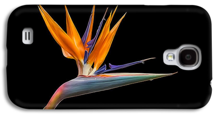 Plant Galaxy S4 Case featuring the photograph Bird of Paradise Flower on Black by Rikk Flohr