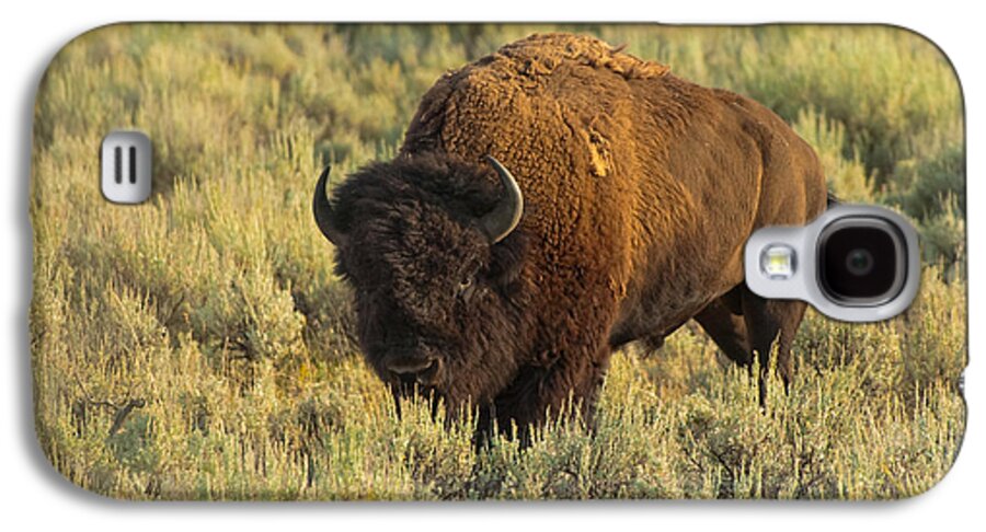 American Bison Galaxy S4 Case featuring the photograph Bison by Sebastian Musial