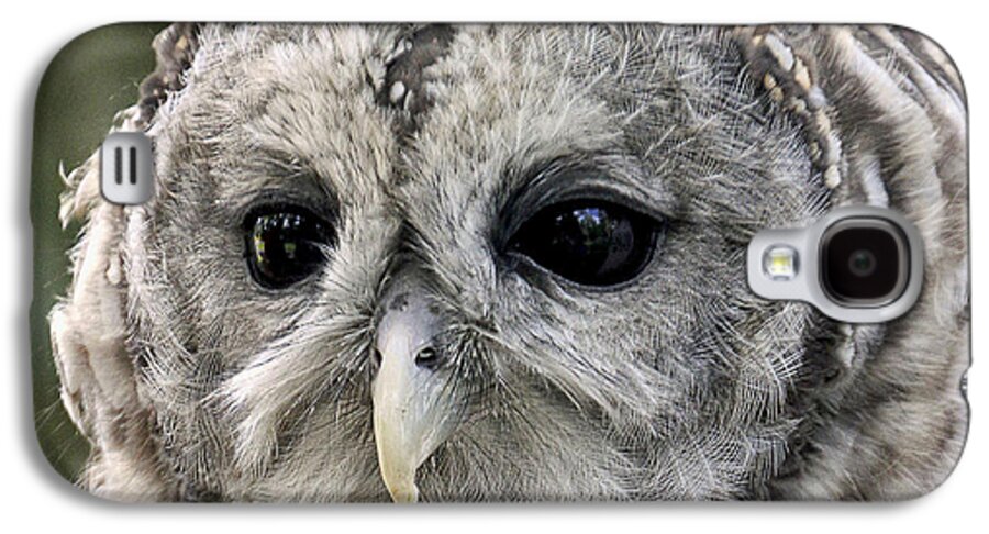 Beak Galaxy S4 Case featuring the photograph Black Eye Owl by Bob Slitzan