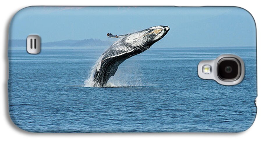 Alaska Galaxy S4 Case featuring the photograph Breaching humpback whales Happy-3 by Steve Darden