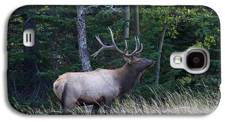 Bull Galaxy S4 Case featuring the photograph Bull Elk 2 by Aaron Spong