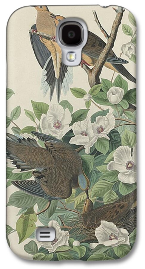 Audubon Galaxy S4 Case featuring the drawing Carolina Pigeon or Turtle Dove by Dreyer Wildlife Print Collections 