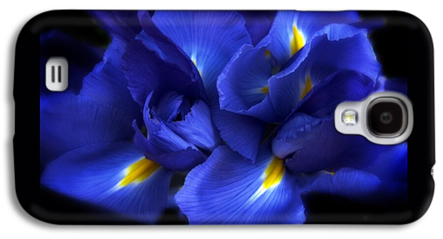 Iris Galaxy S4 Case featuring the photograph Evening Iris by Jessica Jenney