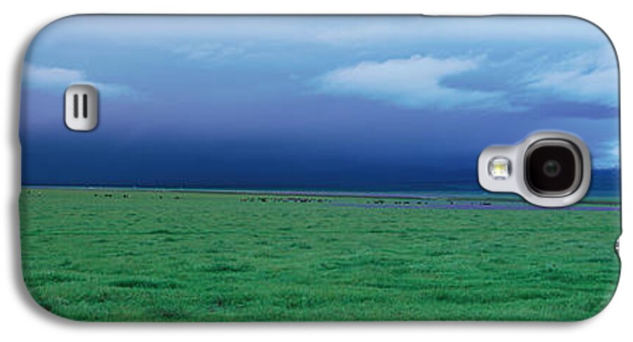 Photography Galaxy S4 Case featuring the photograph Field Of Grass Under Winter Storm by Panoramic Images