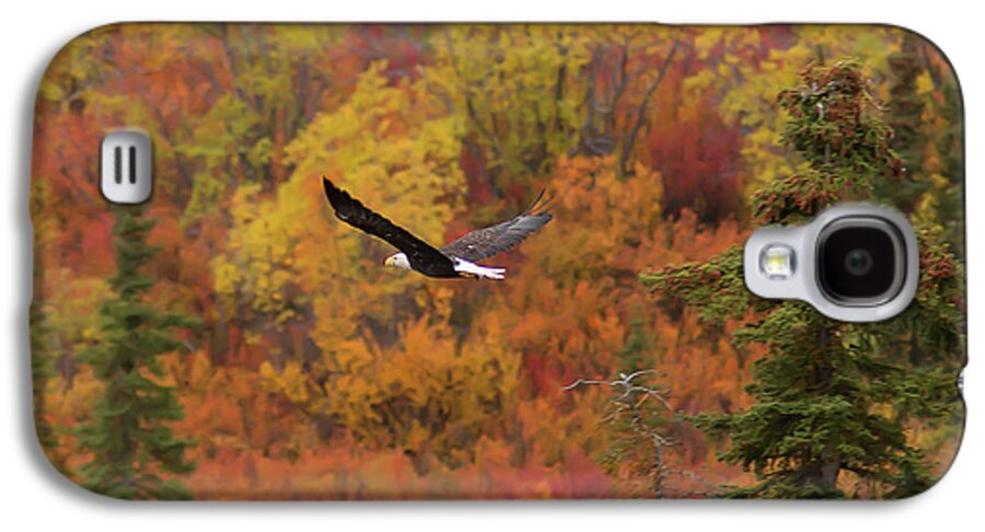 American Bald Eagle Galaxy S4 Case featuring the photograph Glide Path by Ed Boudreau