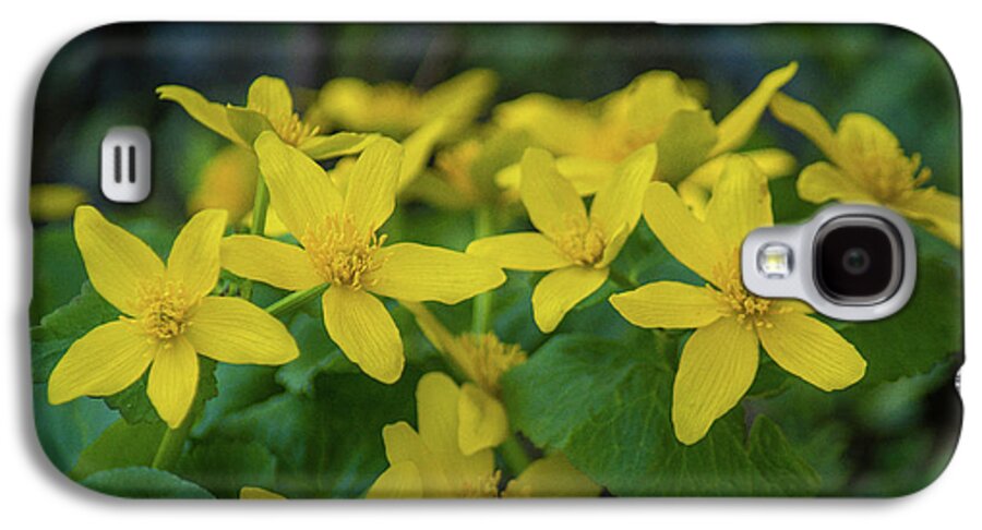 Wildflower Galaxy S4 Case featuring the photograph Gold In the Marsh by Bill Pevlor