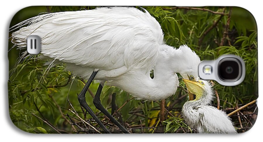 Egret Galaxy S4 Case featuring the photograph Great Egret and Chick by Susan Candelario