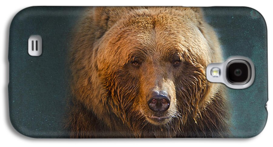 Bear Galaxy S4 Case featuring the photograph Grizzly Bear Portrait by Betty LaRue