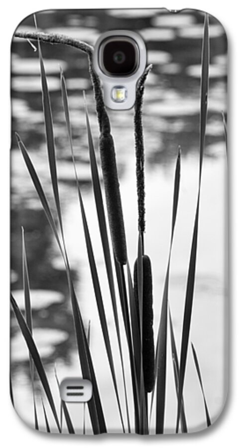 Black And White Galaxy S4 Case featuring the photograph In the Weeds by Christi Kraft