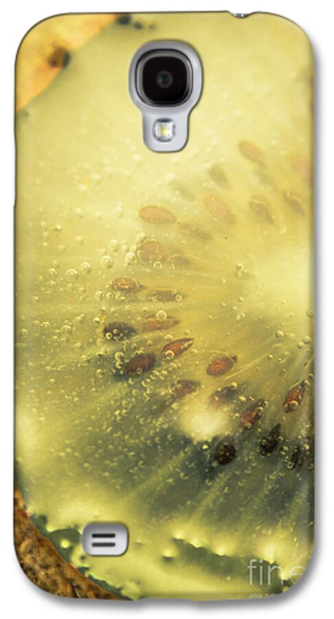 Kiwi Galaxy S4 Case featuring the photograph Macro shot of submerged kiwi fruit by Jorgo Photography