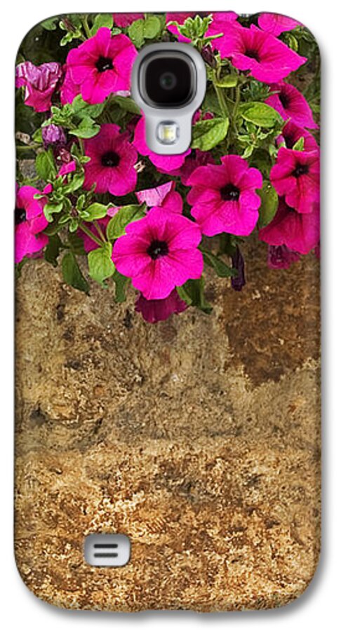 Mailbox Galaxy S4 Case featuring the photograph Mailbox with petunias by Silvia Ganora