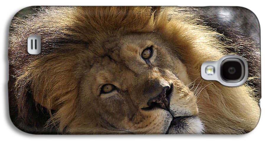 Lion Galaxy S4 Case featuring the photograph Majestic Love by Linda Mishler
