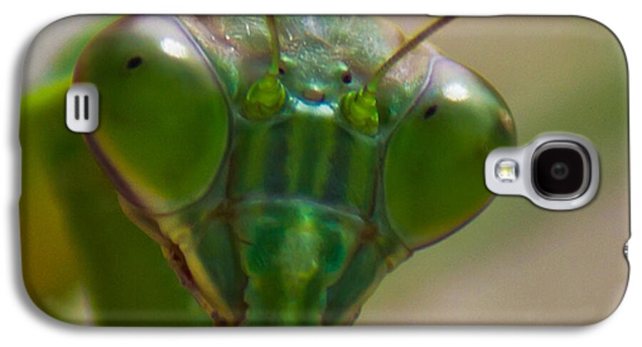 Praying Galaxy S4 Case featuring the photograph Mantis Face by Jonny D