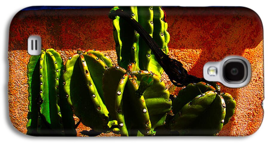Mexico Galaxy S4 Case featuring the photograph Mexican Style by Susanne Van Hulst