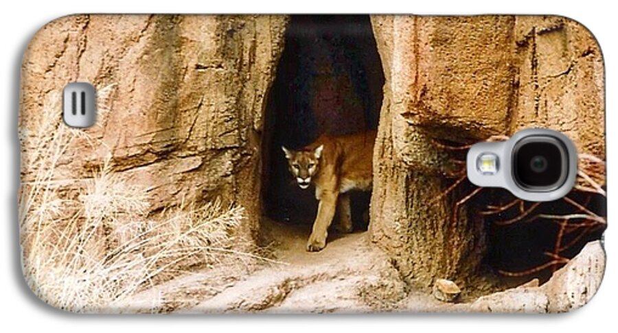 Arizona Galaxy S4 Case featuring the photograph Mountain Lion in the Desert by Judy Kennedy