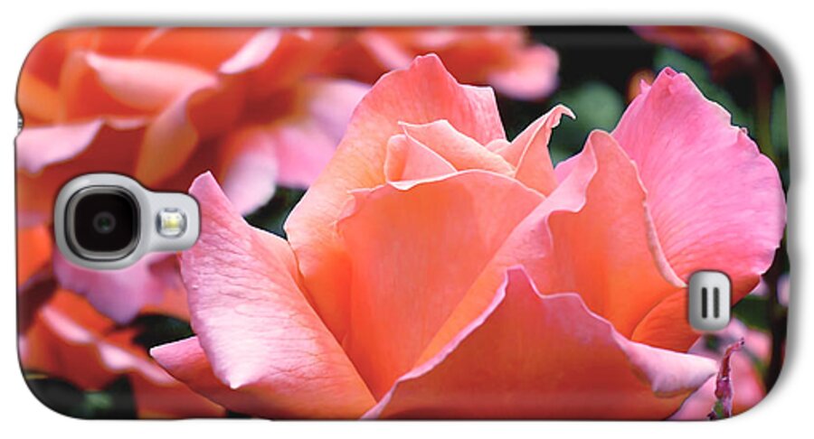 Rose Galaxy S4 Case featuring the photograph Orange-Pink Roses by Rona Black