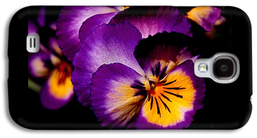 Pansies Galaxy S4 Case featuring the photograph Pansies by Rona Black