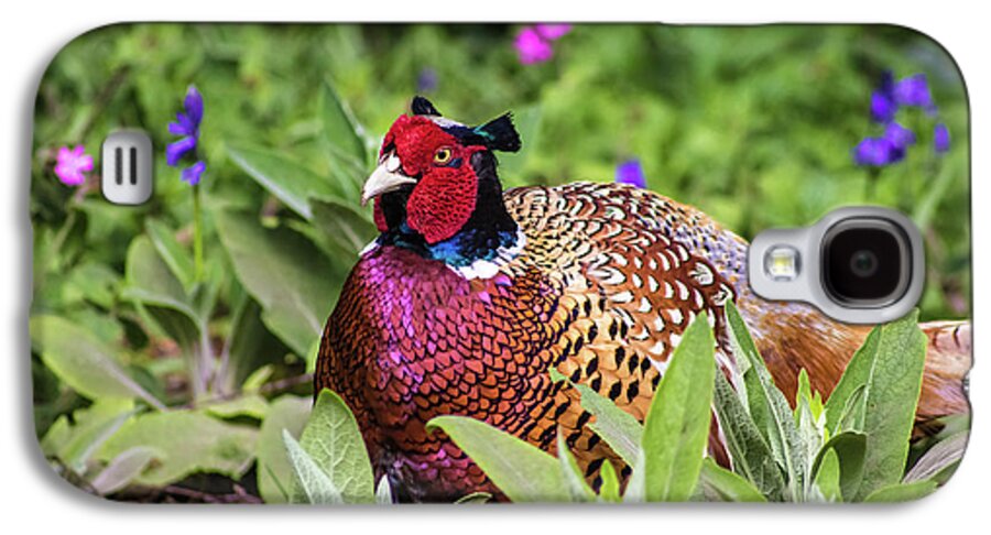 Pheasant Galaxy S4 Case featuring the photograph Pheasant by Martin Newman