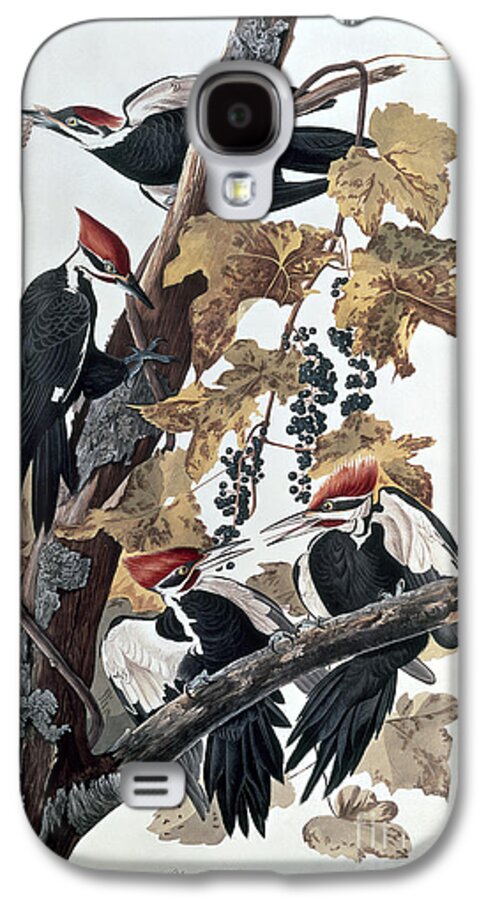 Pileated Woodpeckers By John James Audubon Galaxy S4 Case featuring the painting Pileated Woodpeckers by John James Audubon
