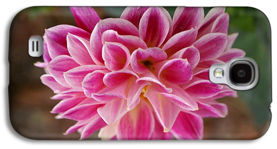 Pink Galaxy S4 Case featuring the photograph Pink Dahlia by Debbie May