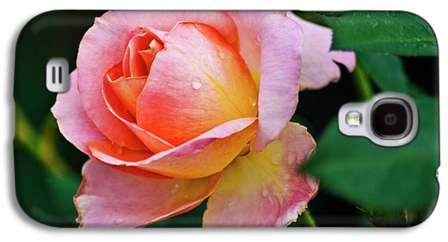Rose Galaxy S4 Case featuring the photograph Pink Rose by Bill Barber