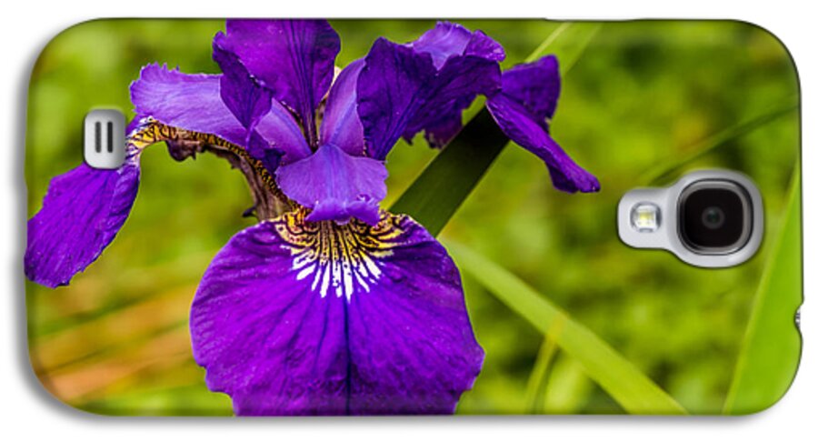 Purple Galaxy S4 Case featuring the photograph Purple Beauty by Ed Clark