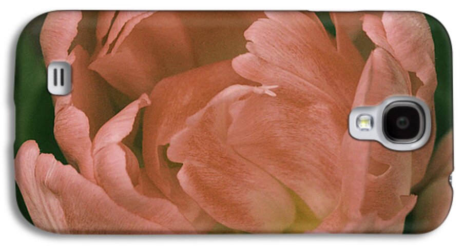 Tulip Galaxy S4 Case featuring the photograph Soft Tulip by Cathy Donohoue