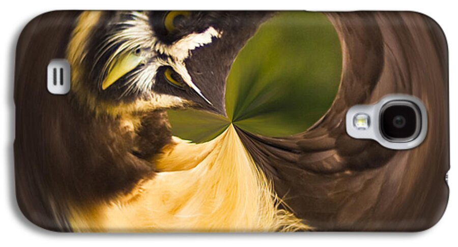 Owl Galaxy S4 Case featuring the photograph Spectacled Owl orb by Bill Barber