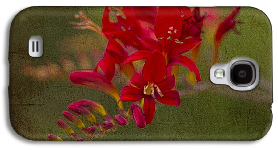 Clare Bambers Galaxy S4 Case featuring the photograph Splash of Red. by Clare Bambers