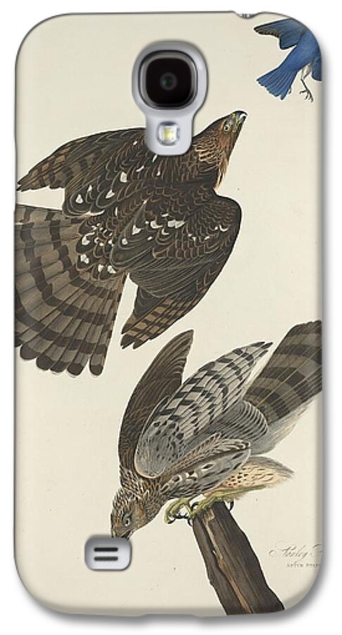Audubon Galaxy S4 Case featuring the drawing Stanley Hawk by Dreyer Wildlife Print Collections 