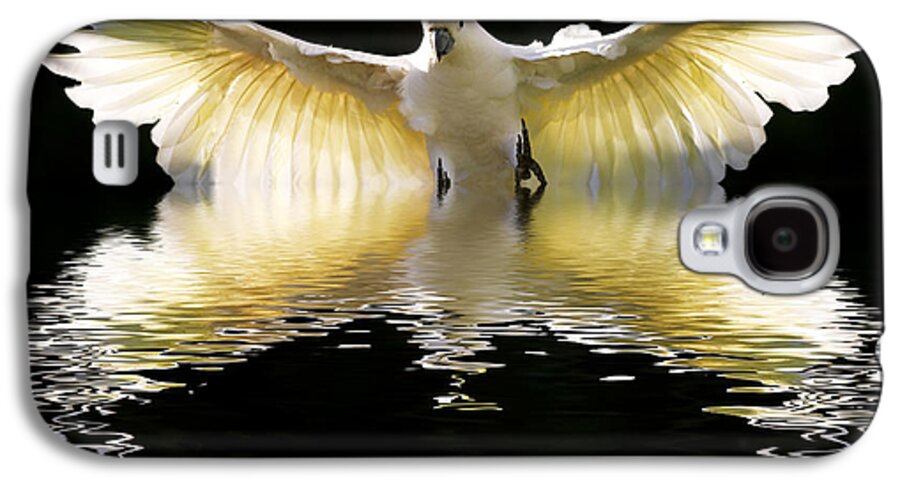 Bird In Flight Galaxy S4 Case featuring the photograph Sulphur crested cockatoo rising by Sheila Smart Fine Art Photography