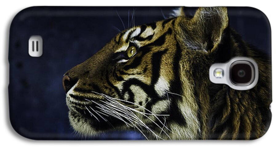 Sumatran Tiger Galaxy S4 Case featuring the photograph Sumatran tiger profile by Sheila Smart Fine Art Photography