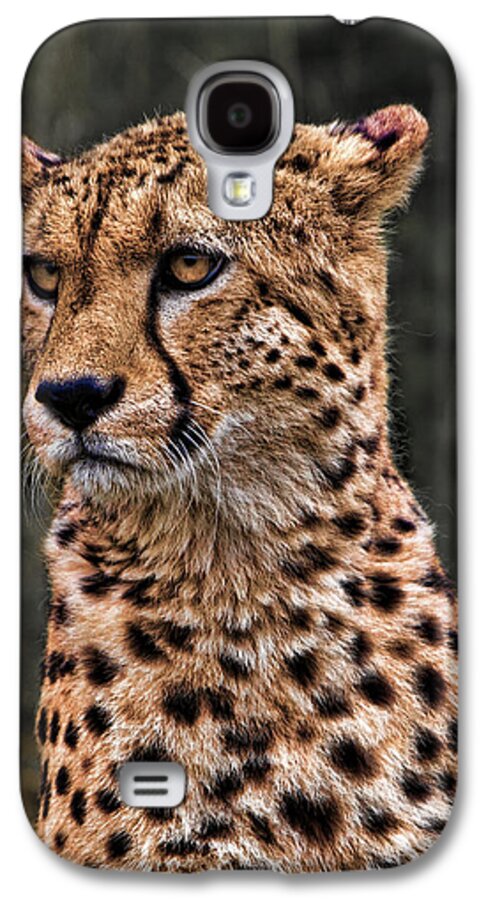 Big Galaxy S4 Case featuring the photograph The Pensive Cheetah by Chris Lord