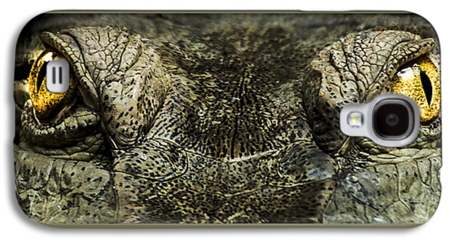 Crocodile Galaxy S4 Case featuring the photograph The soul searcher by Paul Neville