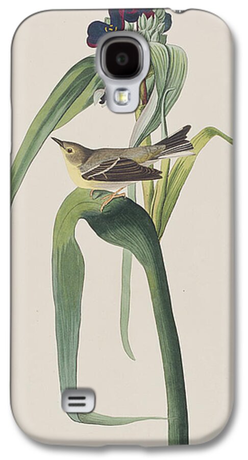 Vigors Warbler Galaxy S4 Case featuring the painting Vigor's Warbler by John James Audubon