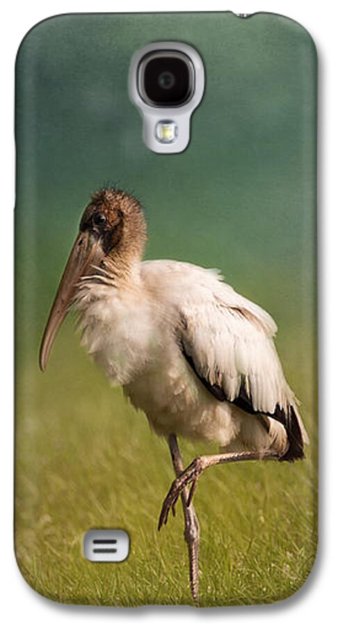 Wood Stork Galaxy S4 Case featuring the photograph Wood Stork - Balancing by Kim Hojnacki