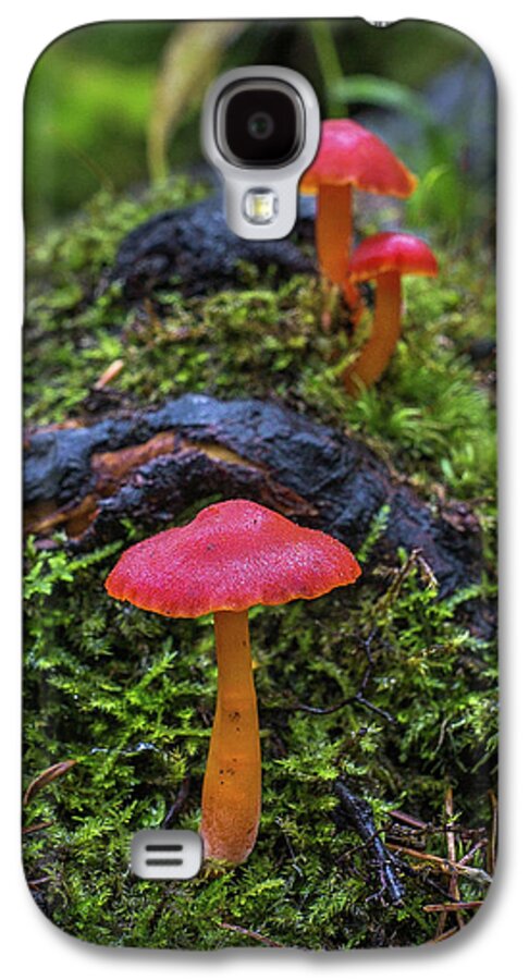 Bill Pevlor Galaxy S4 Case featuring the photograph Woodland Floor Decor by Bill Pevlor