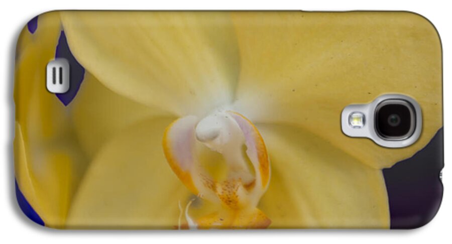 Flower Galaxy S4 Case featuring the photograph Yellow Orchard by Linda Constant